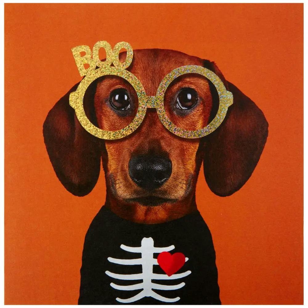 Dog in Costume Halloween Card front