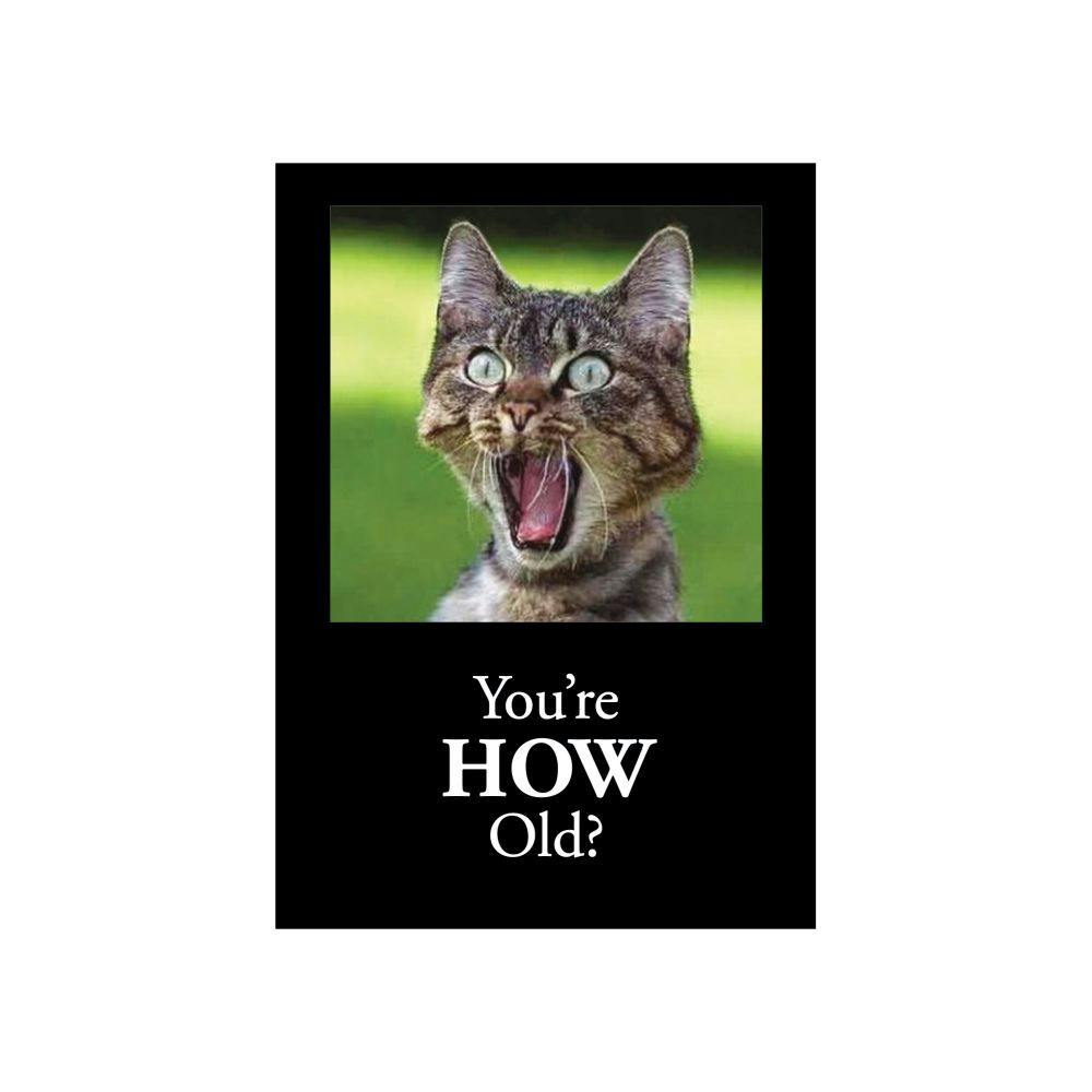 You&#39;re How Old Cat Birthday Card First Alternate Image width=&quot;1000&quot; height=&quot;1000&quot;
