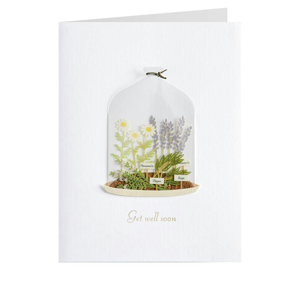 Plants in Cloche Get Well Card Sixth Alternate Image width=&quot;1000&quot; height=&quot;1000&quot;