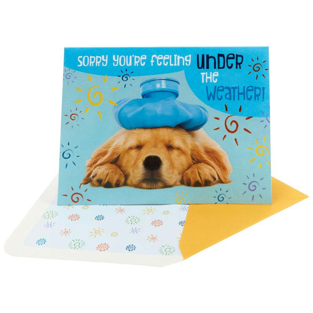 Photo Dog with Compress Get Well Card Sixth Alternate Image width=&quot;1000&quot; height=&quot;1000&quot;