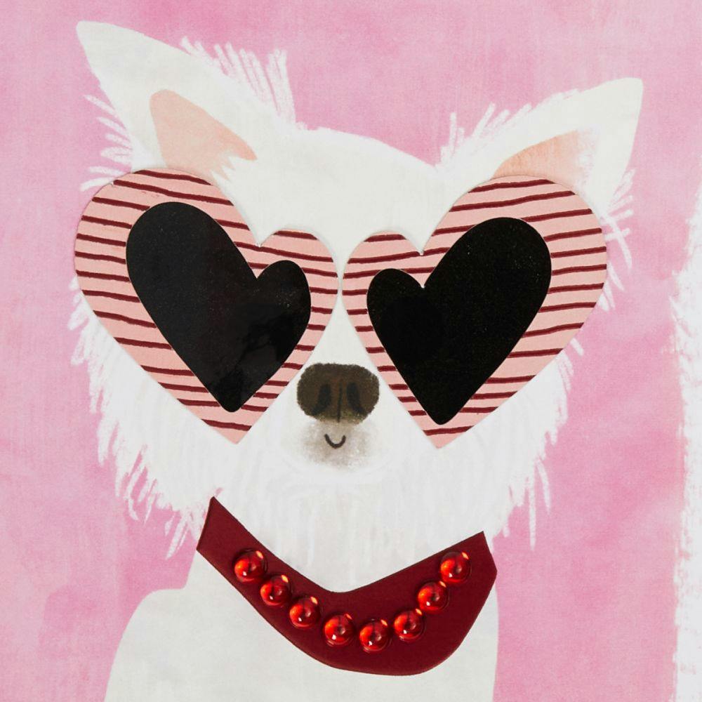 Cute Dog In Sunglasses Valentine&#39;s Day Card Fifth Alternate Image width=&quot;1000&quot; height=&quot;1000&quot;