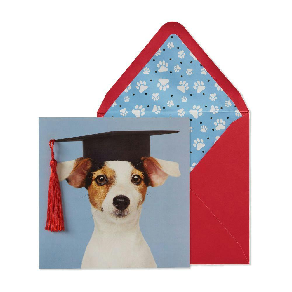 Pup in Grad Hat Graduation Card Main Product Image width=&quot;1000&quot; height=&quot;1000&quot;