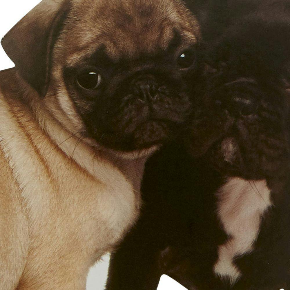 Die Cut Two Dogs (Pug &amp; Frenchie) Anniversary Card Fifth Alternate Image width=&quot;1000&quot; height=&quot;1000&quot;