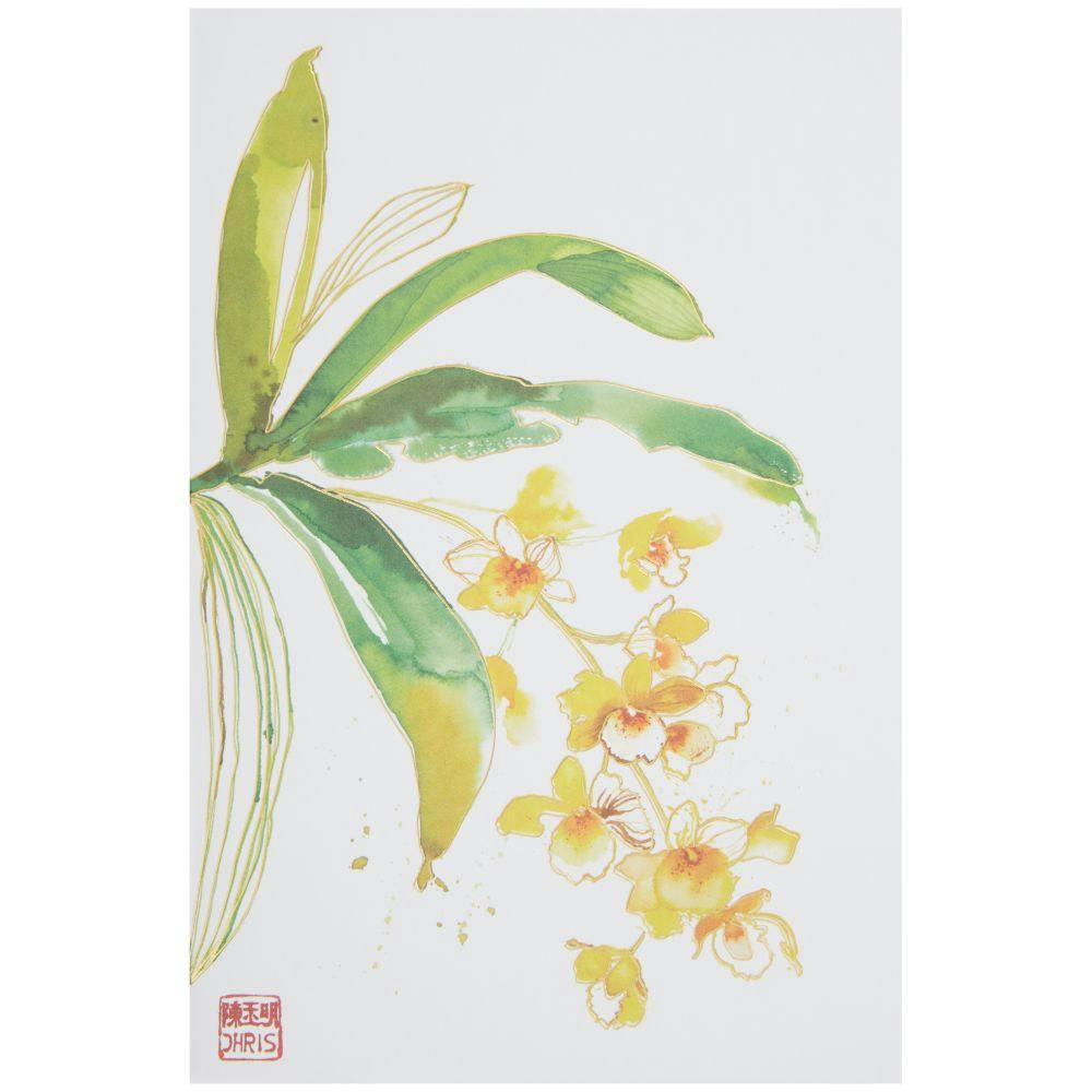 Exotic Orchids Assorted Boxed Note Cards First Alternate Image width=&quot;1000&quot; height=&quot;1000&quot;