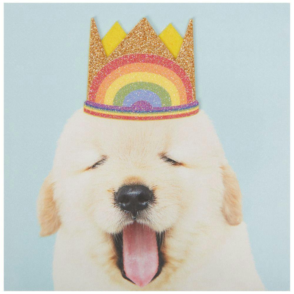 Puppy in Rainbow Crown Birthday Card First Alternate Image width=&quot;1000&quot; height=&quot;1000&quot;
