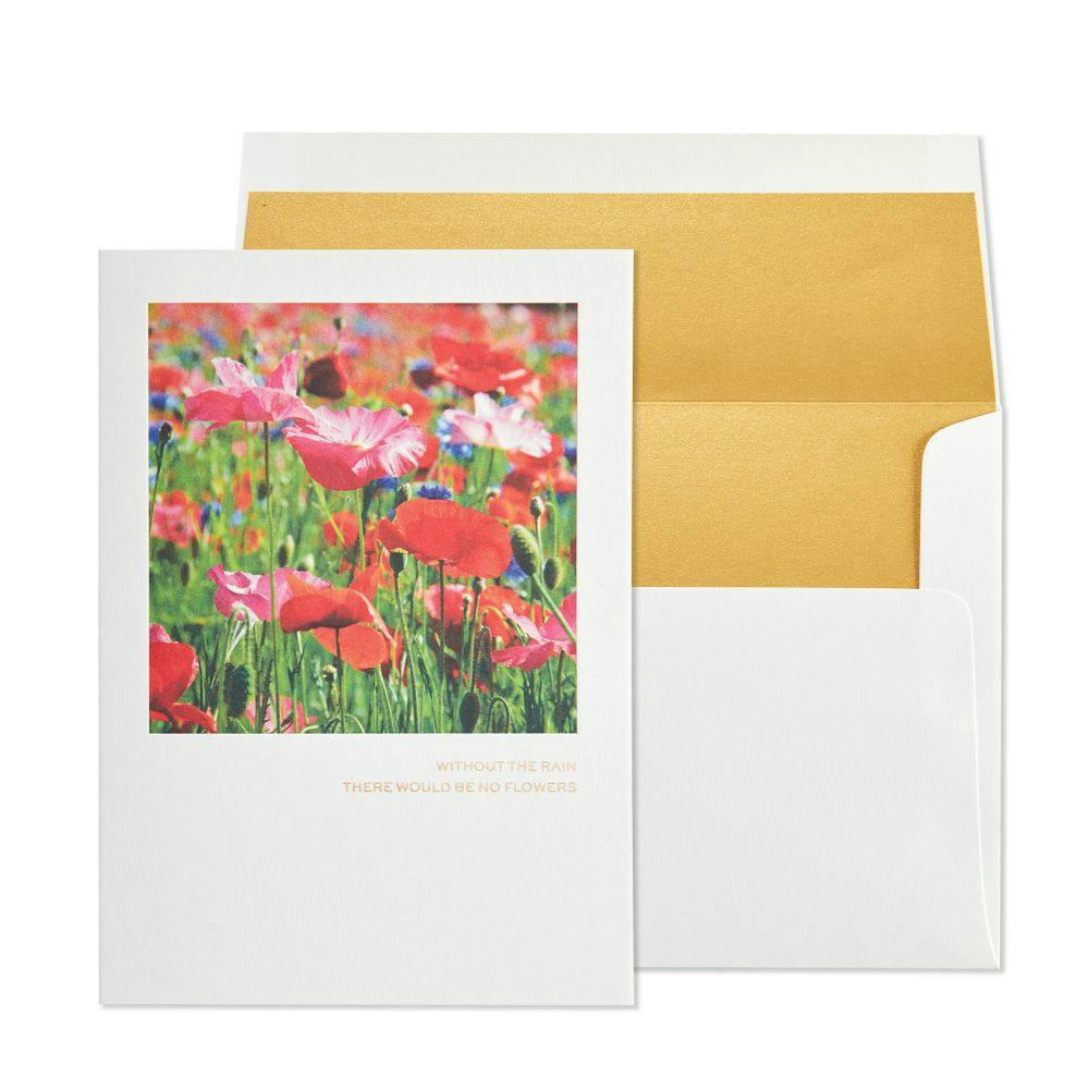 Poppies in Field Friendship Card Main Product Image width=&quot;1000&quot; height=&quot;1000&quot;