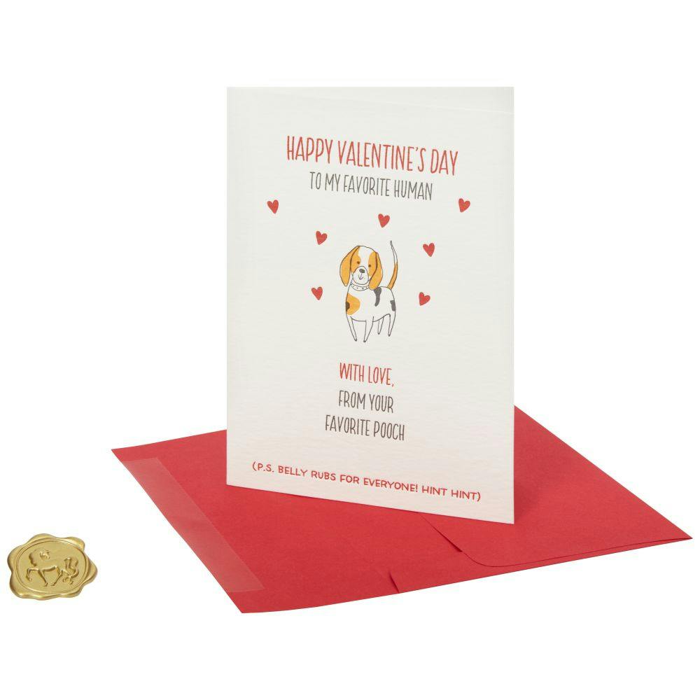 From Your Favorite Pooch Valentine&#39;s Day Card Sixth Alternate Image width=&quot;1000&quot; height=&quot;1000&quot;