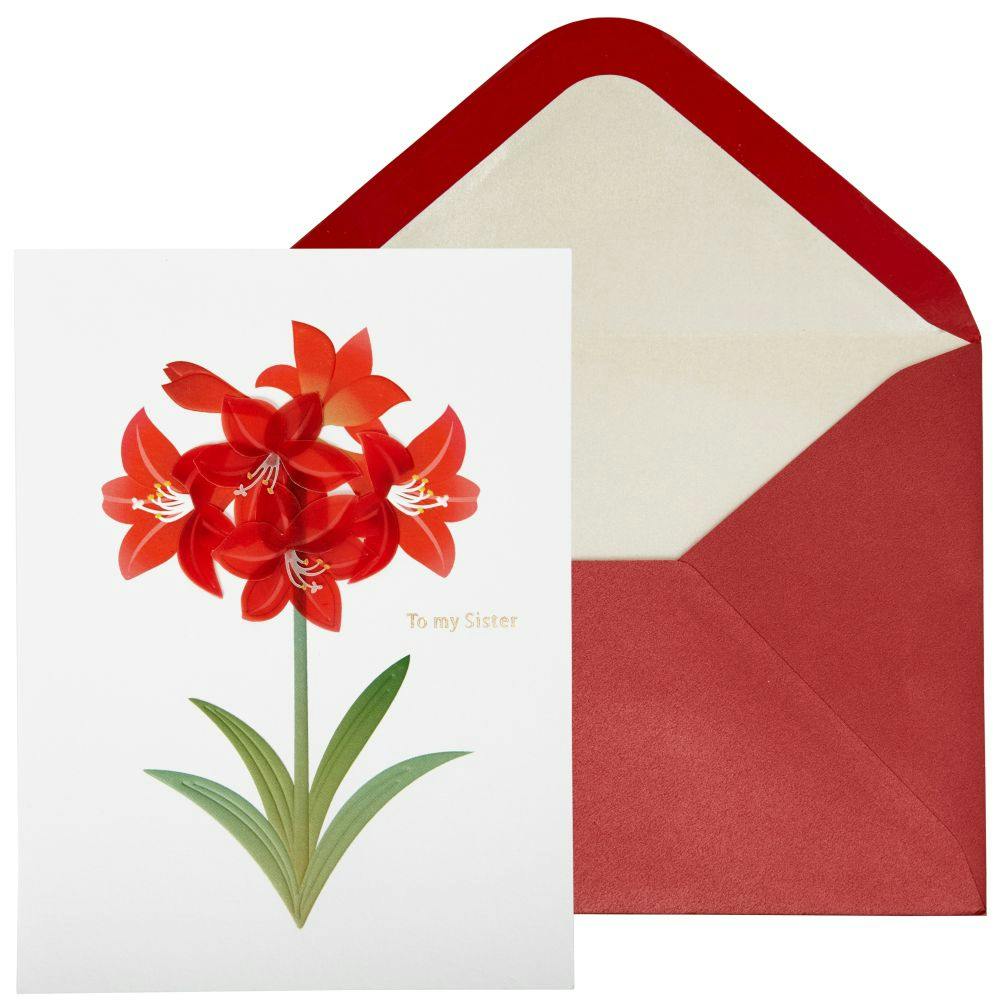 Vellum Amaryllis Christmas Card Main Product Image width=&quot;1000&quot; height=&quot;1000&quot;