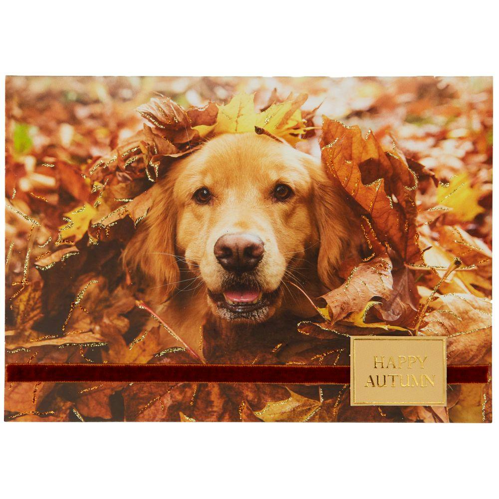 Photo Dog In Leaves Fall Card First Alternate Image width=&quot;1000&quot; height=&quot;1000&quot;