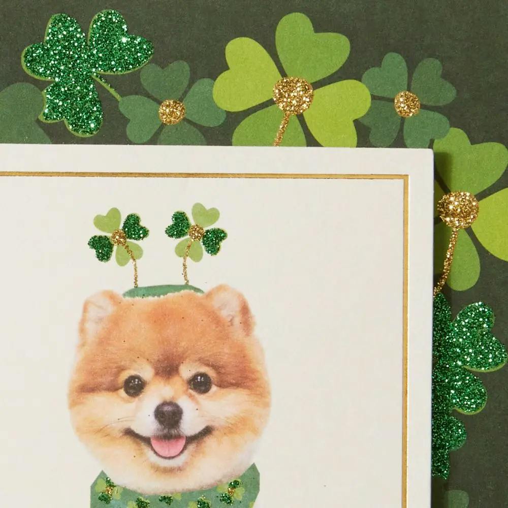 Pomeranian St. Patrick&#39;s Day Card close up