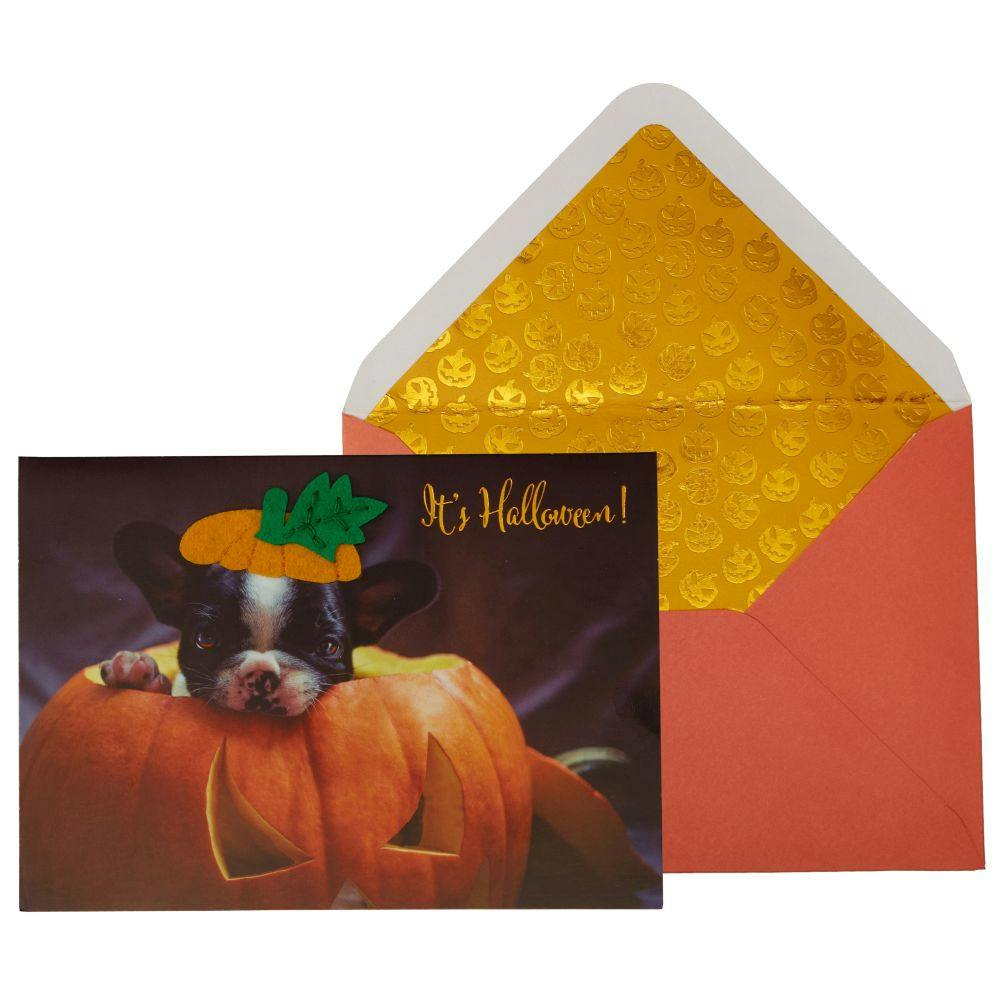 Photo Puppy In Pumpkin Halloween Card Main Product Image width=&quot;1000&quot; height=&quot;1000&quot;