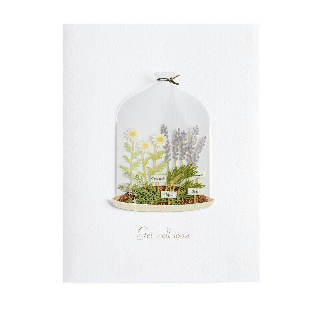 Plants in Cloche Get Well Card First Alternate Image width=&quot;1000&quot; height=&quot;1000&quot;