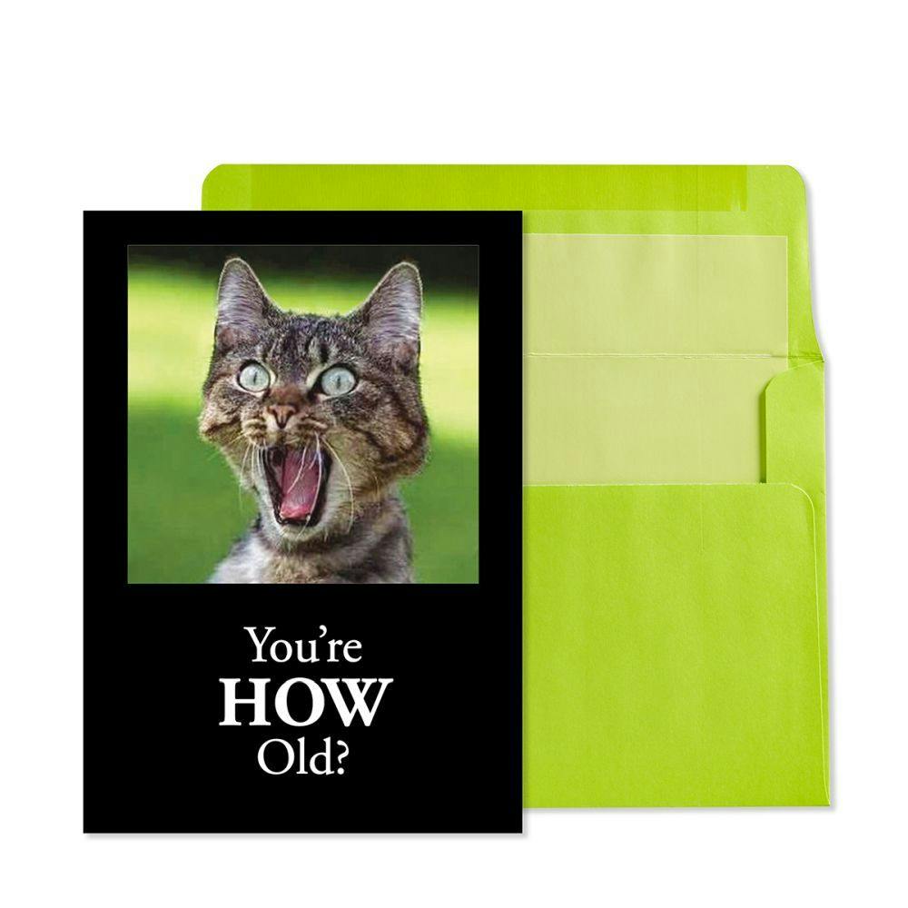You&#39;re How Old Cat Birthday Card Main Product Image width=&quot;1000&quot; height=&quot;1000&quot;
