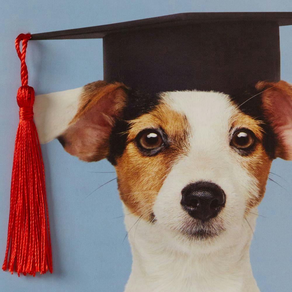 Pup in Grad Hat Graduation Card Fourth Alternate Image width=&quot;1000&quot; height=&quot;1000&quot;