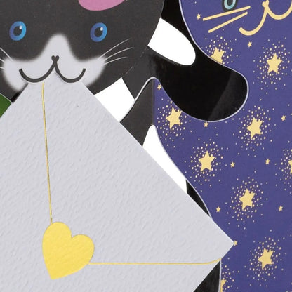 Cats with Party Hats Blank card
