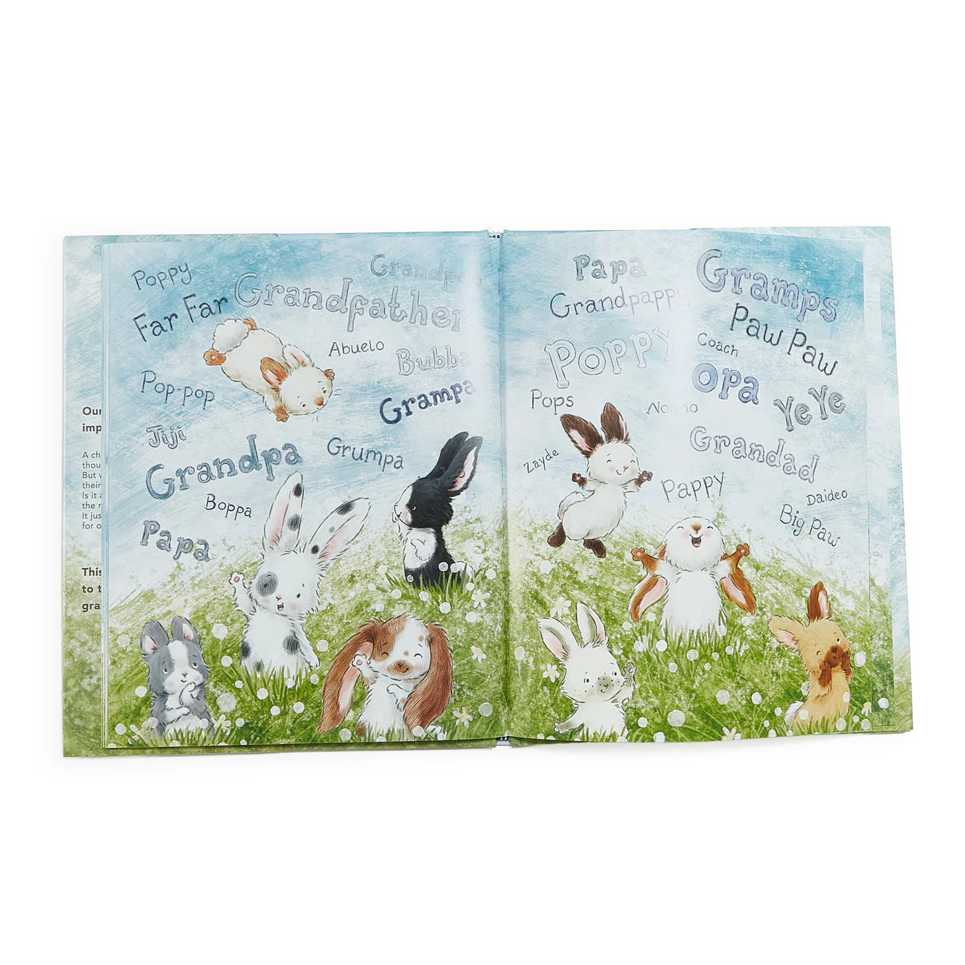 What Will My Grandchild Call Me? Baby Book