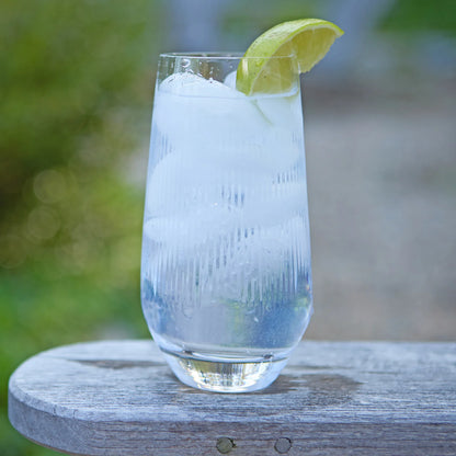 Berkshire Highball Set of 2 - Clear