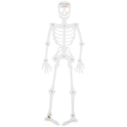 Articulated Skeleton Halloween Card