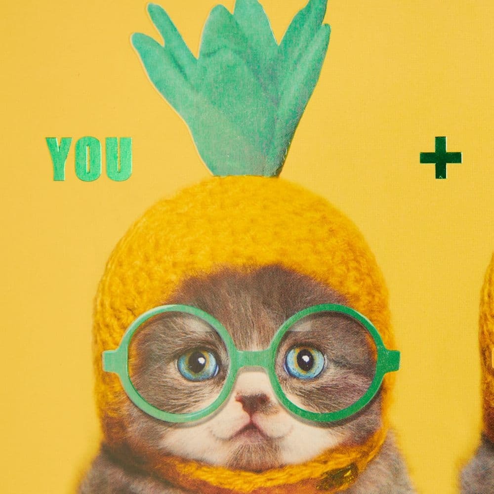 Cat Friends in Hats Friendship Card