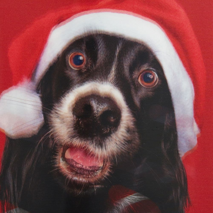 Lenticular Dog And Candy Cane Christmas Card
