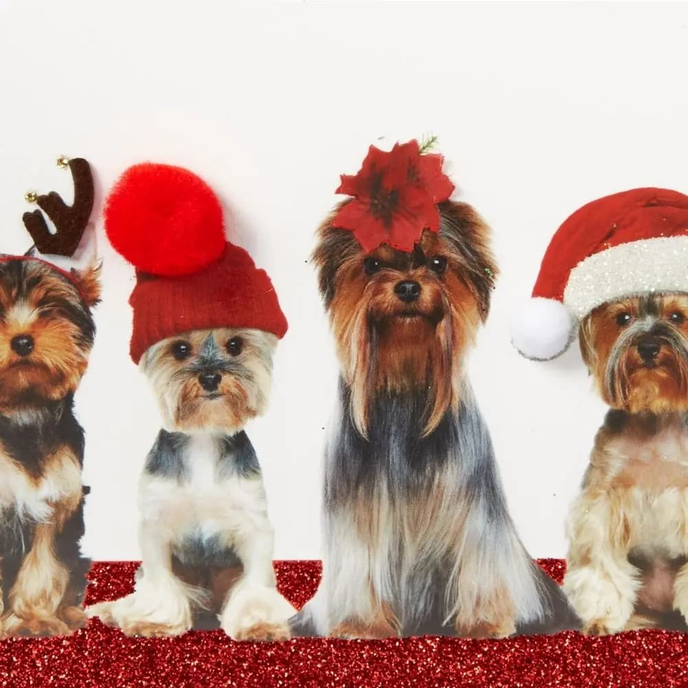 Photo Dogs W/Christmas Hats Christmas