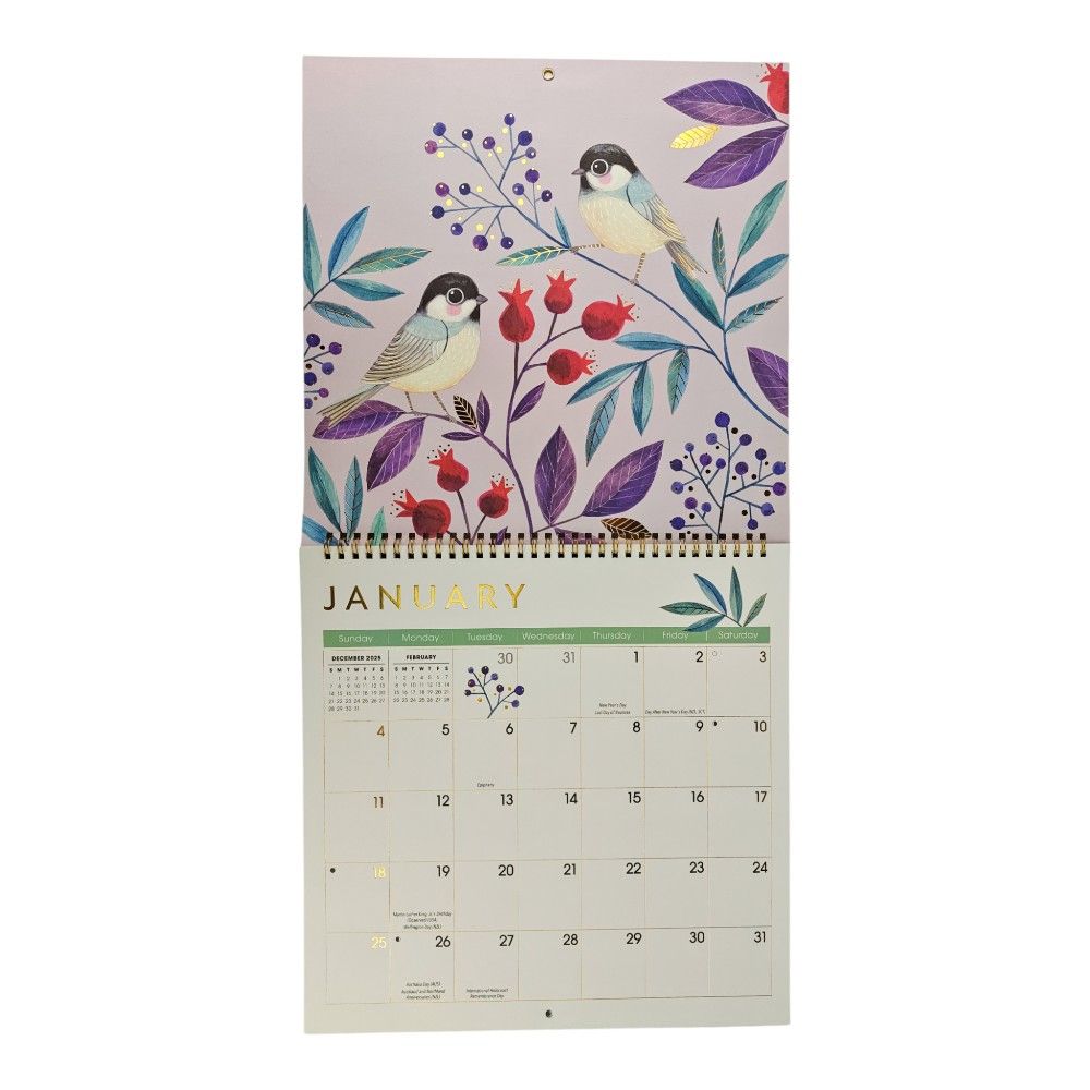 Wonder of Birds 2026 Wall Calendar