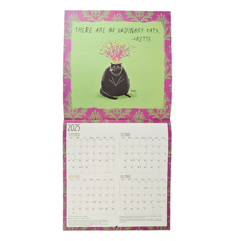 No Ordinary Cats 2026 Wall Calendar