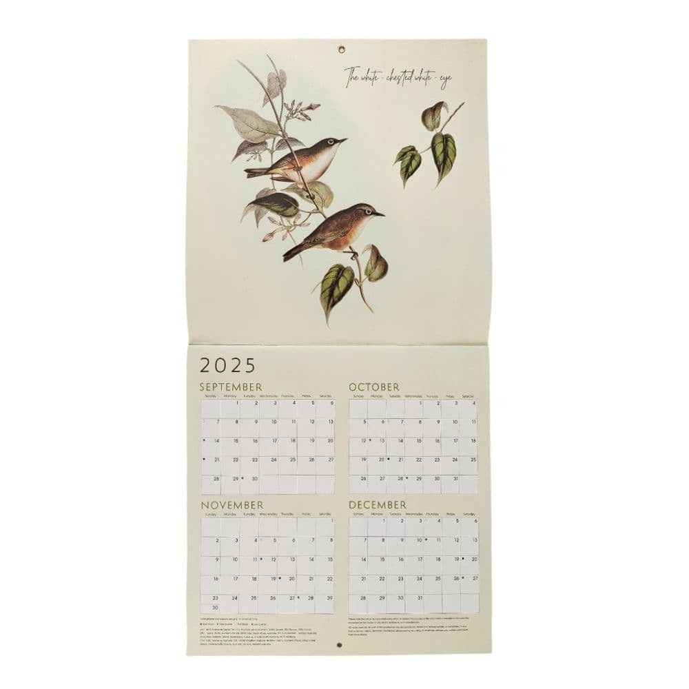 Birds 2026 Wall Calendar