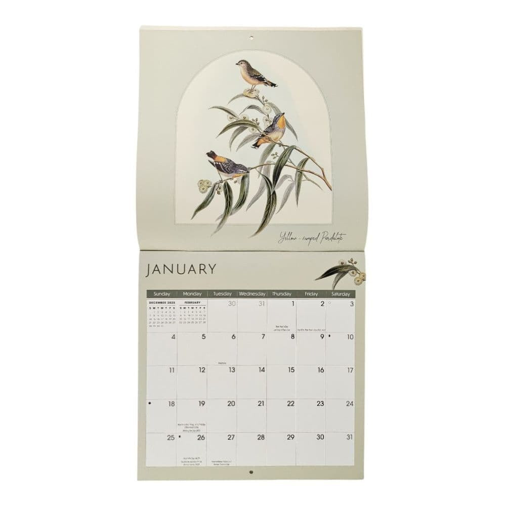 Birds 2026 Wall Calendar