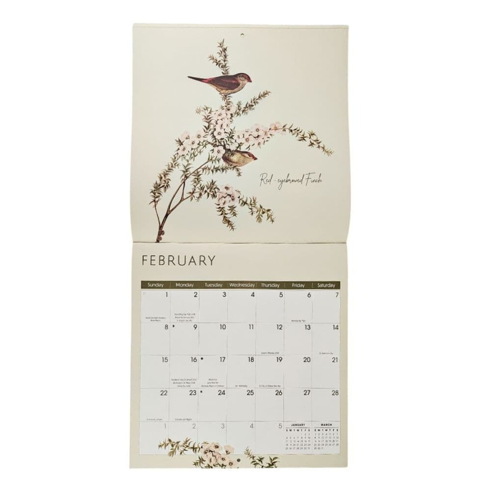 Birds 2026 Wall Calendar
