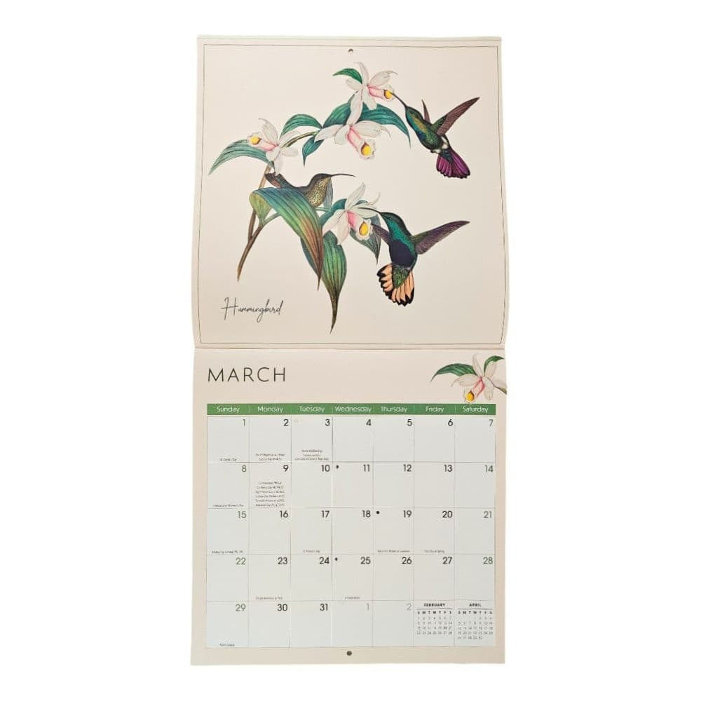 Birds 2026 Wall Calendar