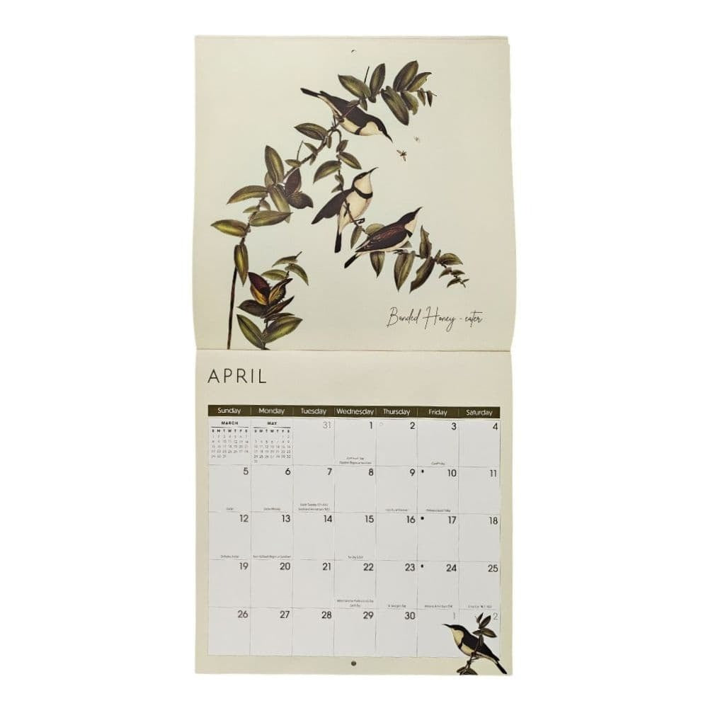 Birds 2026 Wall Calendar