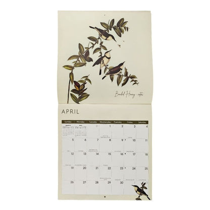 Birds 2026 Wall Calendar