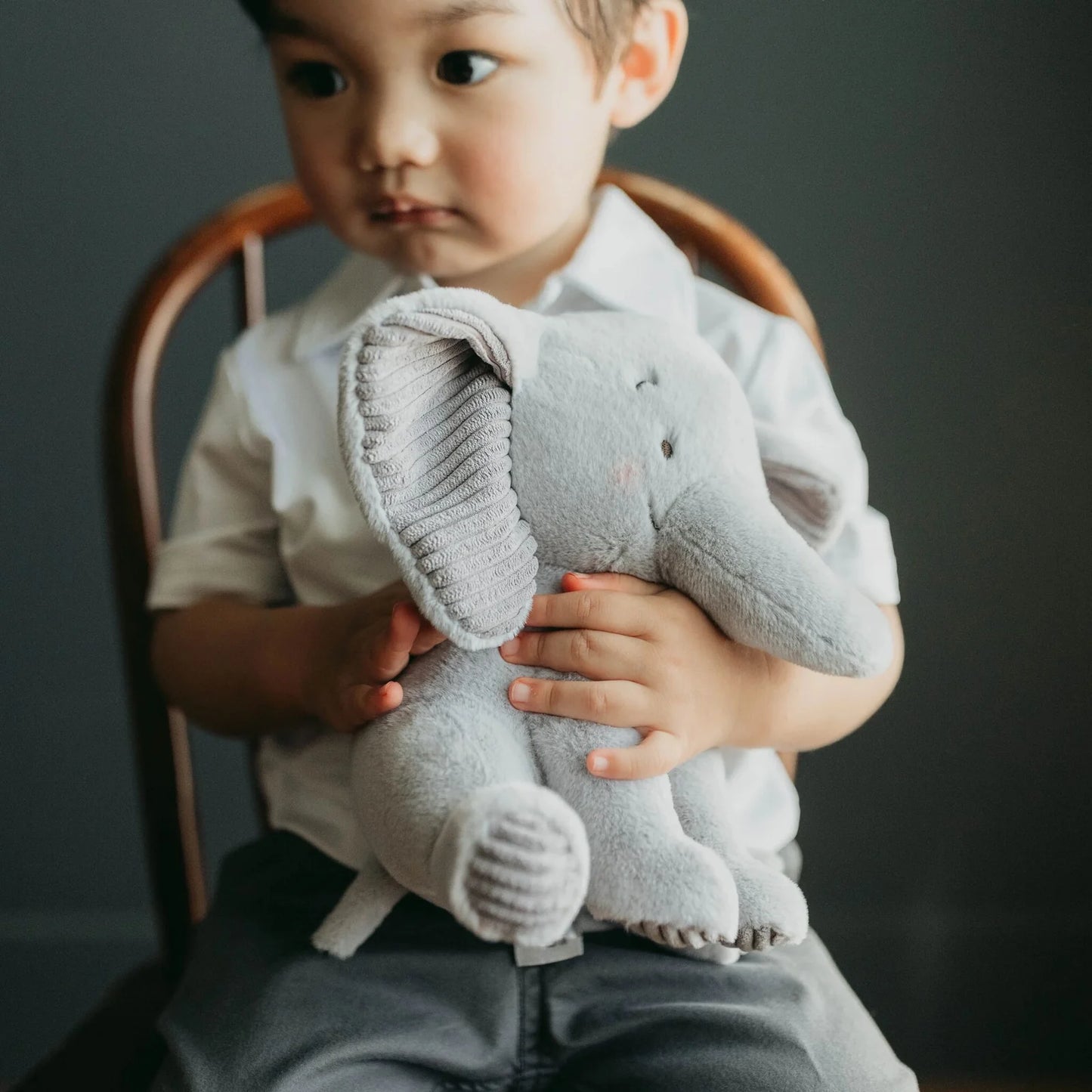Little Penny the Elephant