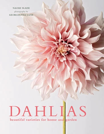 Dahlias; Beautiful Varieties For Home & Garden Book