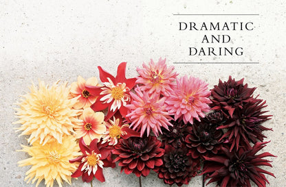 Dahlias; Beautiful Varieties For Home & Garden Book