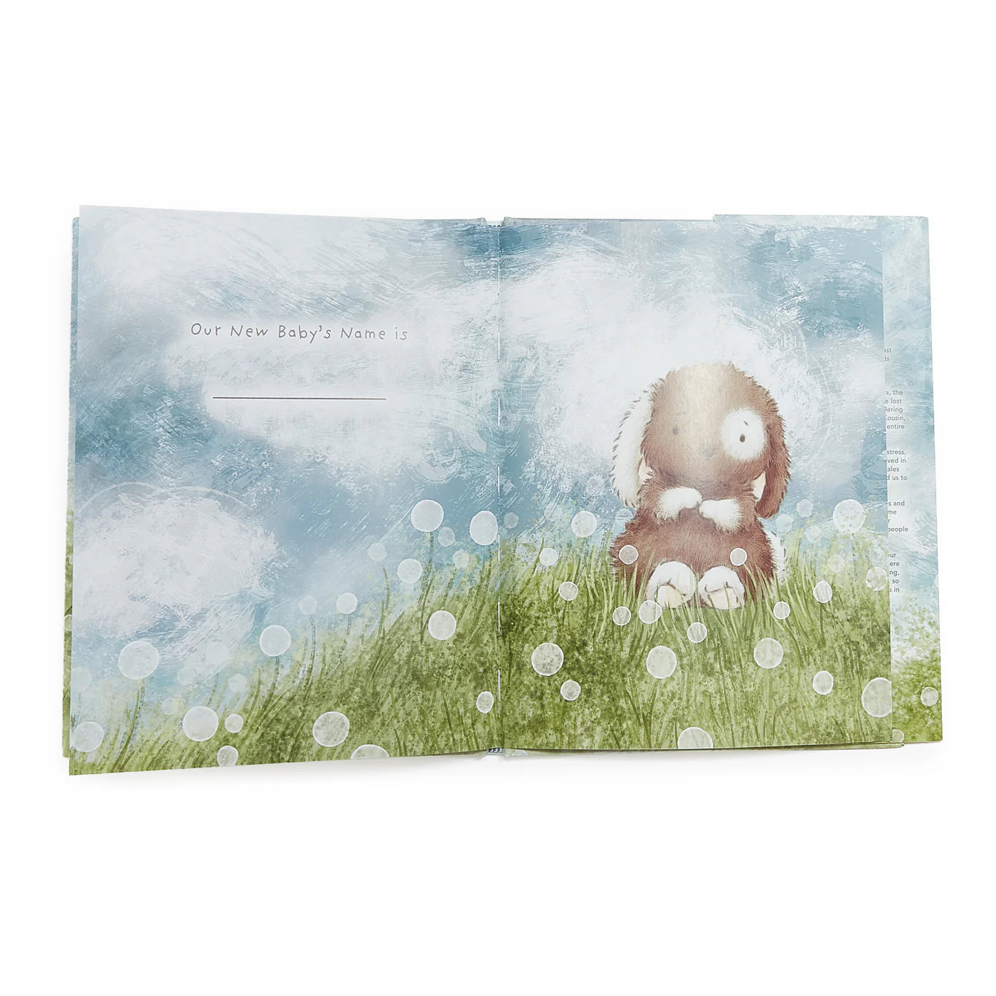 Who Will Our New Baby Be? Baby Book