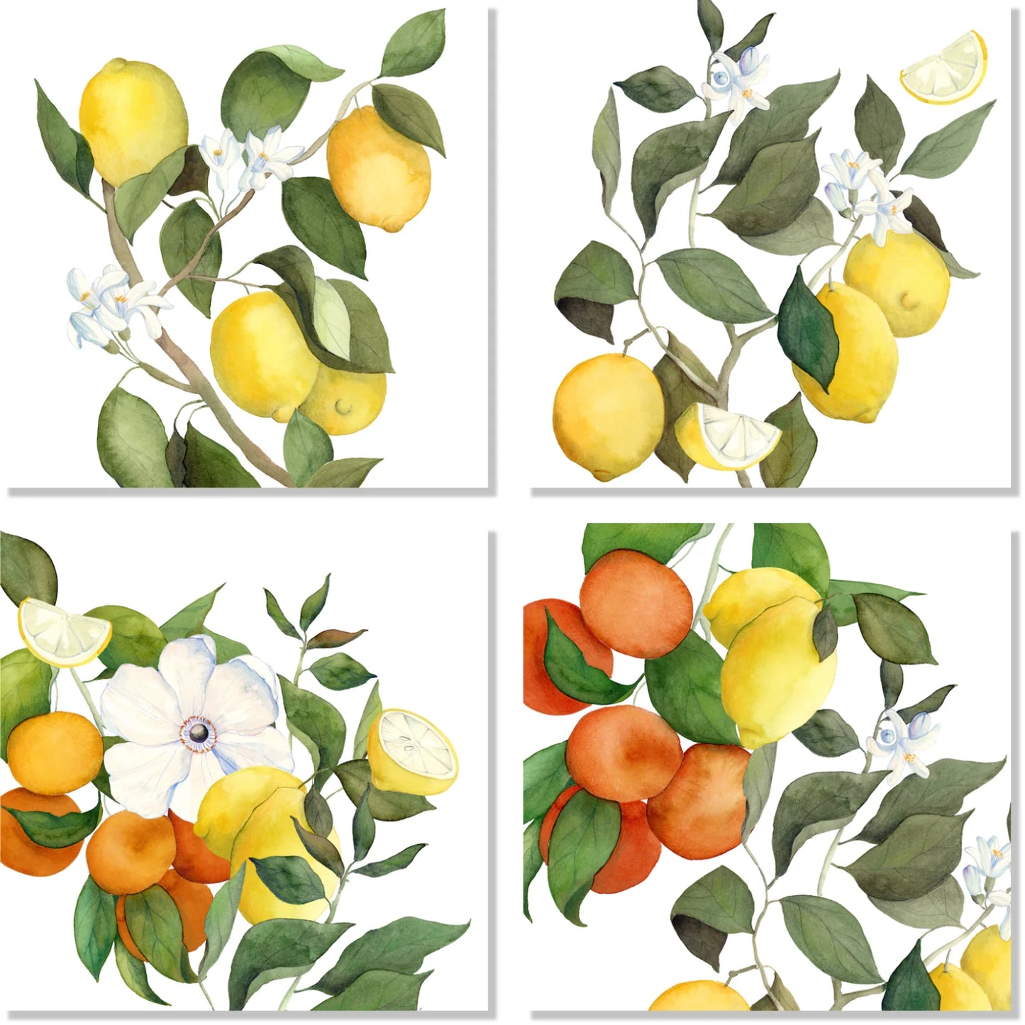 Napkins - Amalfi Set of 4