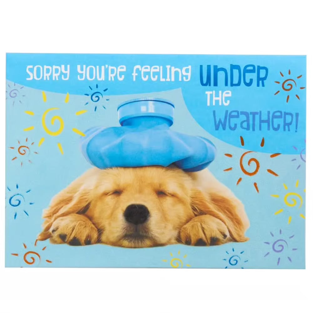 Dog Get Well Card