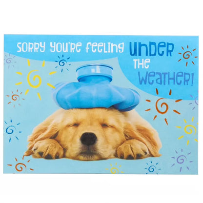 Dog Get Well Card