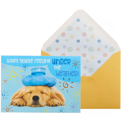Dog Get Well Card