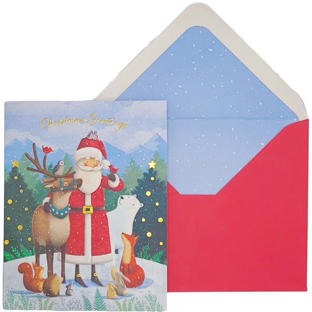 Santa And Animals Boxed Christmas Cards