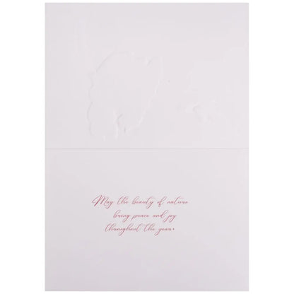 Hummingbird And Amaryllis 8Ct Boxed Christmas Cards