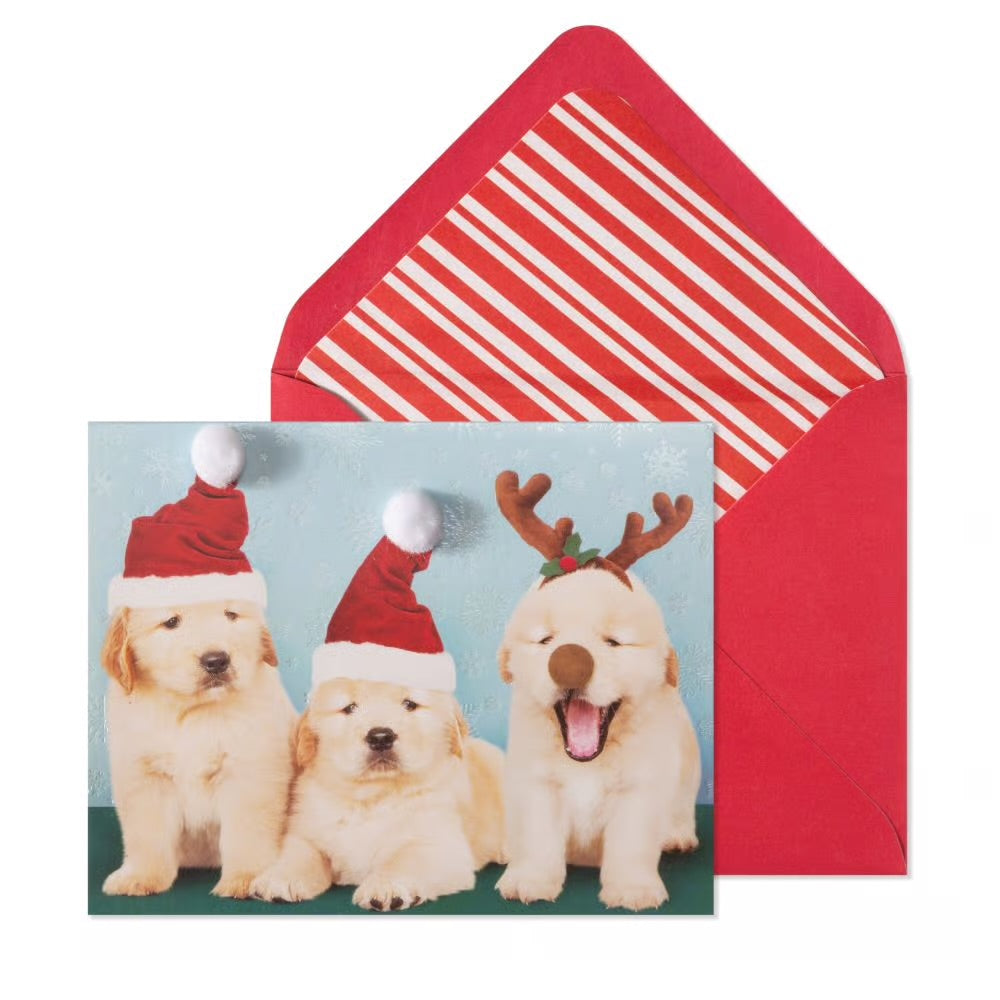 Photo Puppies 10Ct Boxed Christmas Cards