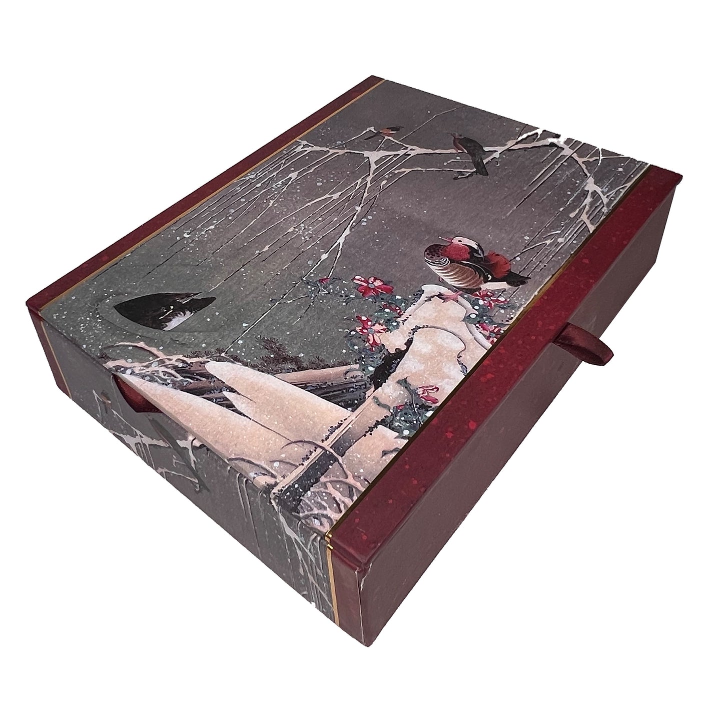 Winter Ducks 20ct Boxed Christmas Cards