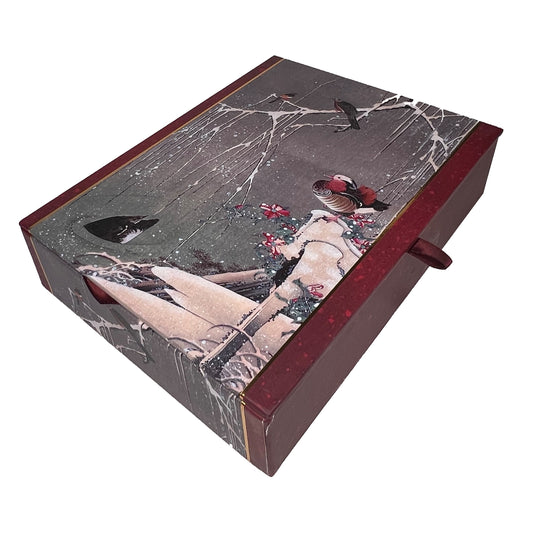 Winter Ducks 20ct Boxed Christmas Cards