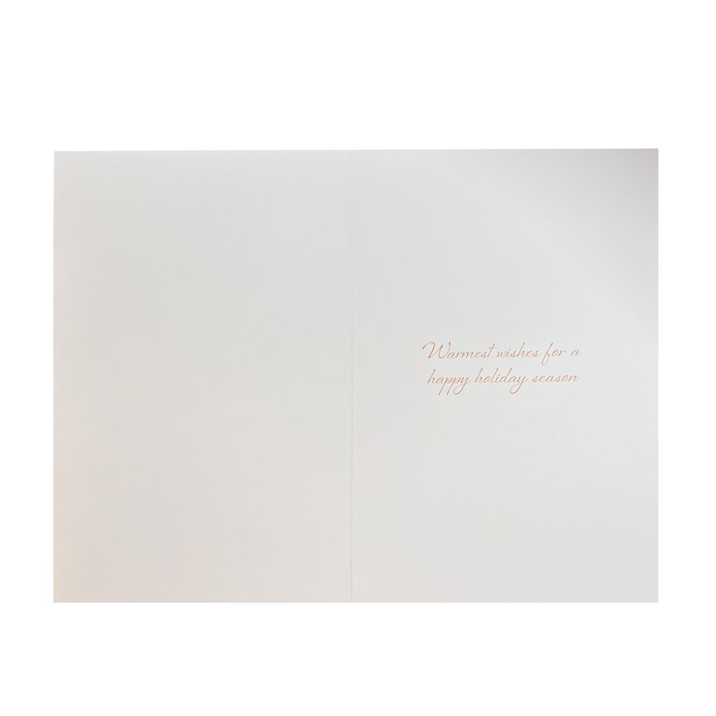 Winter Ducks 20ct Boxed Christmas Cards