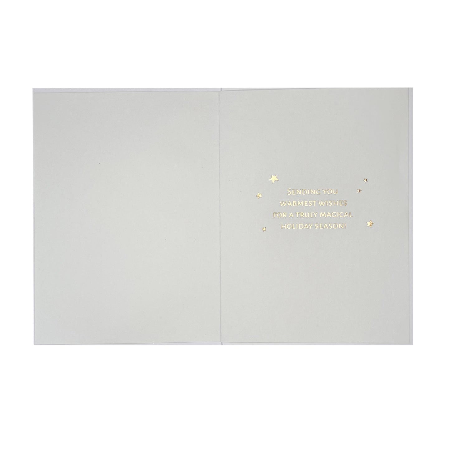Decorative Dove of Peace Christmas Card