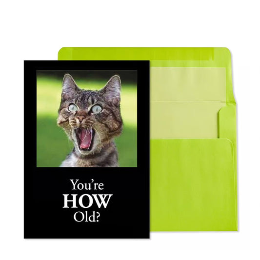 Youre How Old Cat Birthday Card