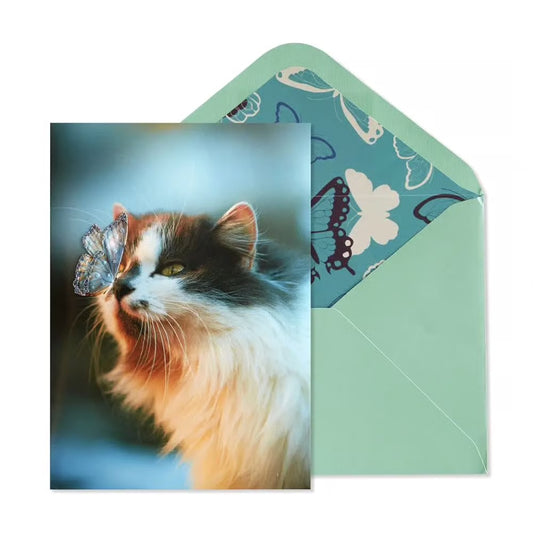 Cat And Butterfly Birthday Card